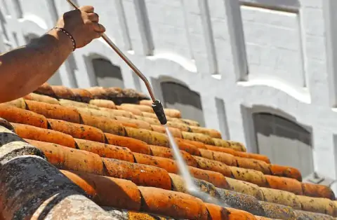 Nettoyage de toitures - Sandrans